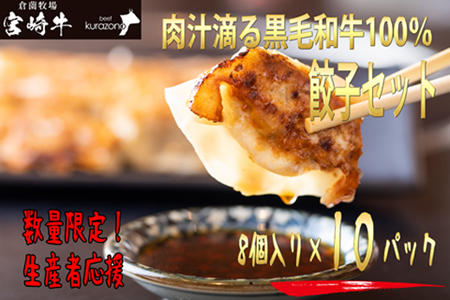 倉薗牧場肉汁滴る黒毛和牛100％餃子　6P（48個）