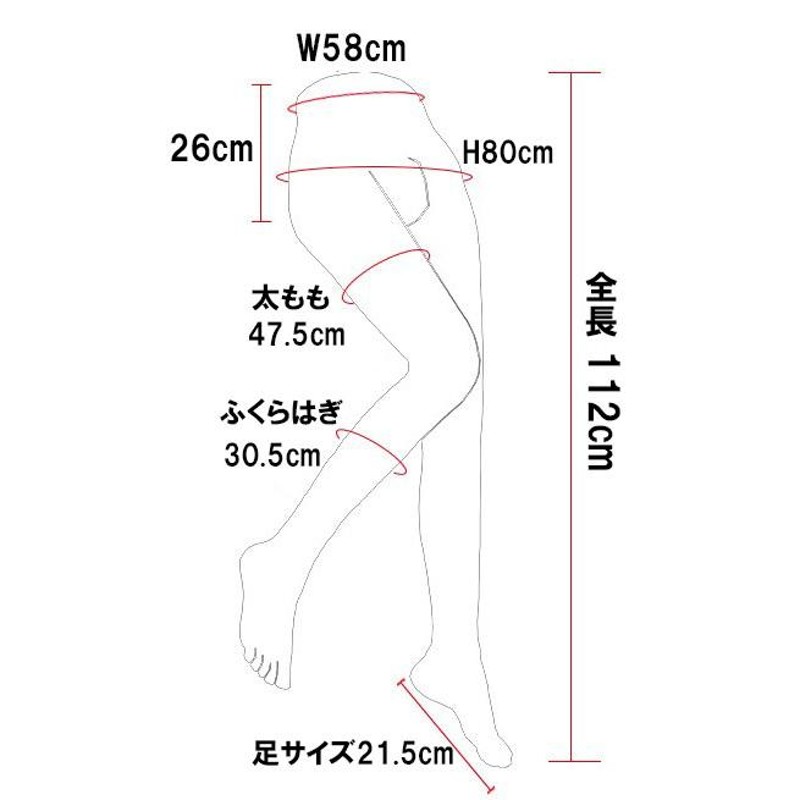 下半身 シリコン マネキン トルソー 女性 実物大 リアル 質感 骨格入り 商品撮影 | LINEブランドカタログ