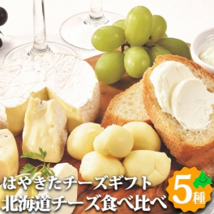 北海道 チーズ はやきたチーズセット 5種類 ギフト カチョカバロ モッツァレラ カマンベール クリームチーズ 詰め合わせ 冷蔵 御歳暮