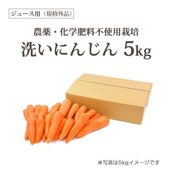 人参 無農薬人参 にんじん ジュース用 訳あり 5kg 5キロ 国産 ニンジン にんじんジュース ゲルソン療法