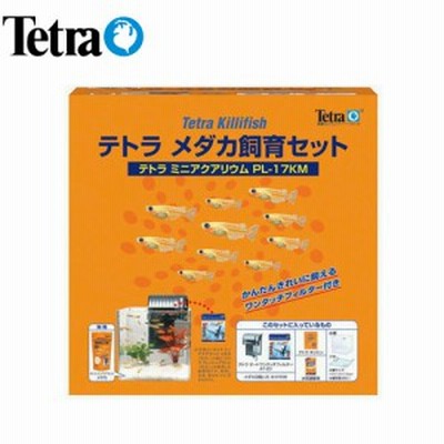 テトラ メダカ飼育セット Pl 17km 水槽セット 飼育セット 水槽 熱帯魚 観賞魚 飼育 生体 通販 販売 アクアリウム 通販 Lineポイント最大get Lineショッピング