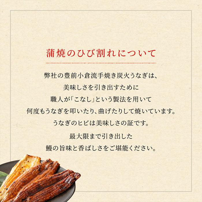 うな一 うなぎ蒲焼 2尾 国産 九州 ウナギ 鰻 蒲焼 タレ だれ 父の日 母の日 お中元 お歳暮 ギフト