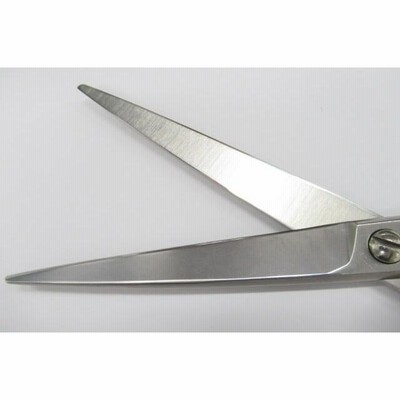 理容 プロ用 シザー ハサミ 鋏 天洋S2 ABランク【天洋 Tenyo】 S2シザー ハサミ鋏 はさみ 美容師・理容