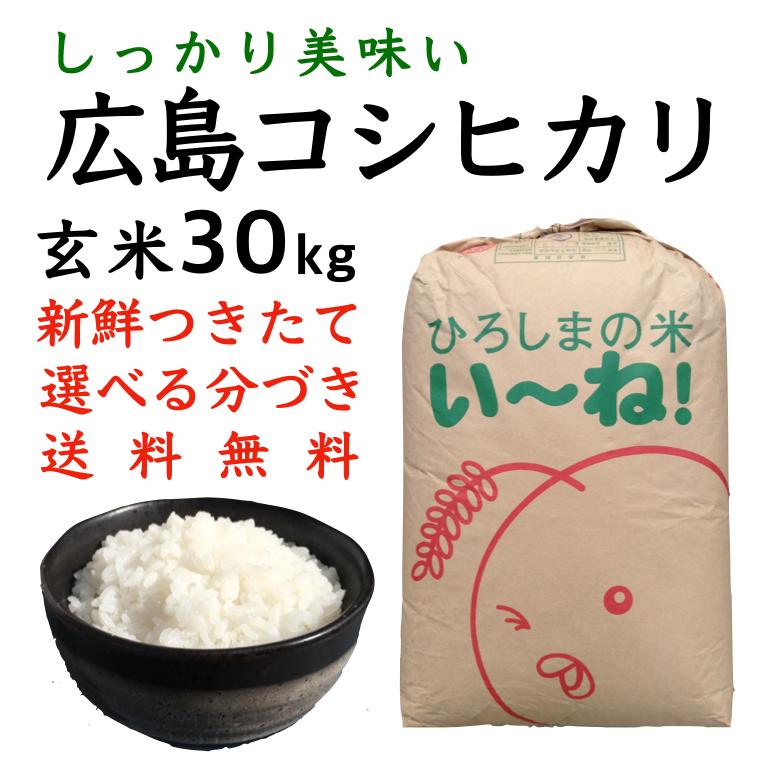 新米コシヒカリ玄米30kg令和5年産 選べる分づき 白米・ 7・５・３・１分づき 送料無料 ひろしまのお米