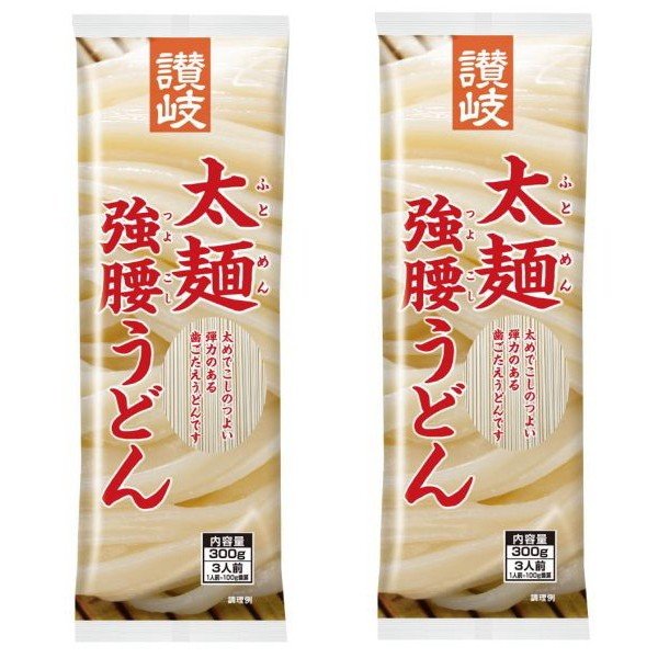 送料無料 さぬきシセイ 讃岐 太麺 強腰うどん 300g 2袋 メール便 定形外郵便