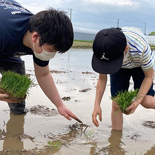 水菜土農園新潟県産 こしひかり 10kg (5kg×2袋) 令和4年産 古代米お試し袋付き