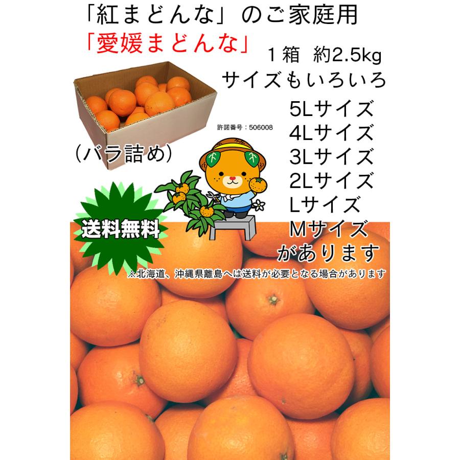 紅まどんな あいか 送料無料 愛媛県 愛媛まどんな 茶箱 3Lサイズ 2.5kg JAの正規品 あいか 愛果28号 ご家庭用 バラ詰 お試 お歳暮 ギフト 予約 12月上旬頃から