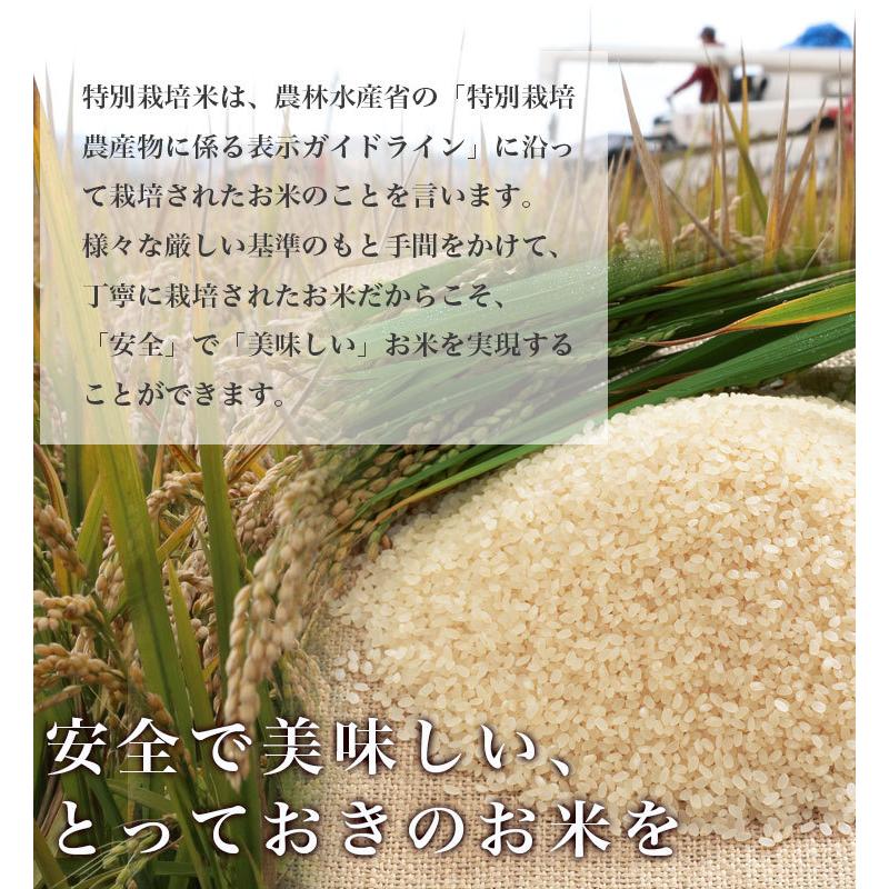 送料無料  令和5年産 新米 北海道米 安心 安全 特別栽培米 お米 当麻  とっときスーパー （特別栽培 あやひめ 100％）10kg 米 ギフト 祝い 贈り物