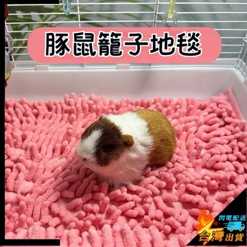 【台灣出貨】豚鼠籠子地毯 荷蘭豬籠子墊子 豚鼠睡房 兔子短毛軟墊 吸水加絨 四季通用 小寵地墊 鼠鼠軟墊 易清潔
