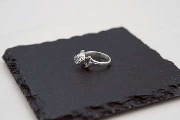 骸骨系列 - 單節脊椎戒指 寬 亮銀款