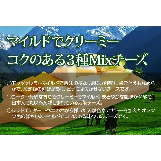 送料無料　冷凍ピザ　特典付お試し1枚　ピザ　ピッツァ　ギフト　お歳暮　冷凍食品　浜松餃子　創作