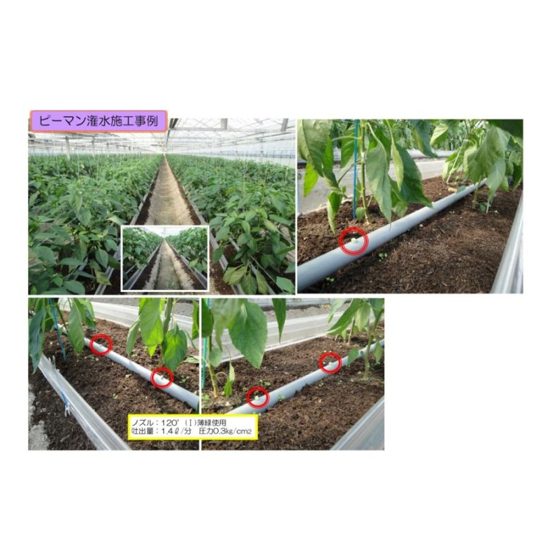 袋売り》セキスイ 潅水ノズル 120°-(1) 両面散水 薄緑色 150個入 農業 潅水ノズル 野菜 ハウス 散水 水やり 作物 農園 家庭菜園 |  LINEブランドカタログ