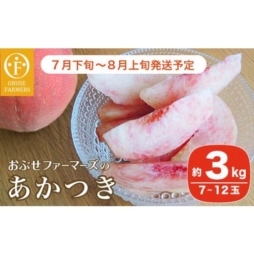 ふるさと納税 長野県 小布施町 あかつき 約3kg 7〜12玉 ［おぶせファーマーズ］桃 もも モモ フルーツ 果物 クール便 冷蔵便 長野県産 信州産  令和6年産【202…