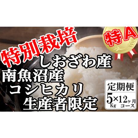 ふるさと納税 特別栽培 生産者限定 南魚沼しおざわ産コシヒカリ 新潟県南魚沼市