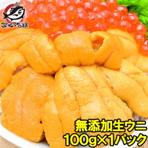 うに 冷凍生うに 無添加 100g 最高級Ａグレード。うに丼約2杯分のお試しサイズ【ウニ ウニ丼 刺身 うにパスタ うにスパゲッティ うに軍艦