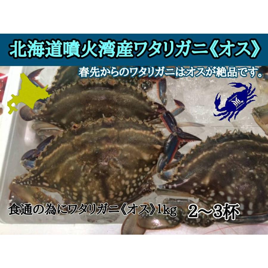 北海道　函館噴火湾産　オスワタリガニ　計1.5kg