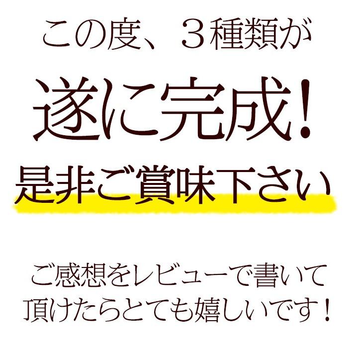 カレー レトルト スパイス香る本格派 インドカレー３食セット簡易包装 送料無料