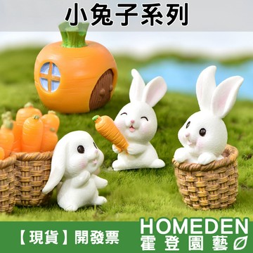 【隔日到貨】小兔子系列 微景觀 園藝裝飾 療育公仔 DIY造景 樹脂公仔 生態瓶 苔蘚景觀【HOMEDEN霍登園藝】