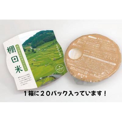 ふるさと納税 美咲町 レンジアップごはん　岡山県美咲町大垪和西棚田米(コシヒカリ)20パックセット