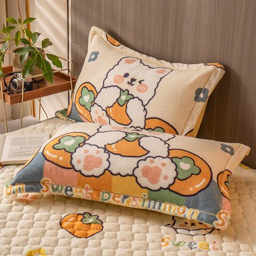 牛奶珊瑚絨枕套一對裝家用法蘭絨枕頭套單個兒童枕頭罩枕芯內膽套