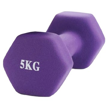 防滑塑身啞鈴 顏色隨機  1個  5kg