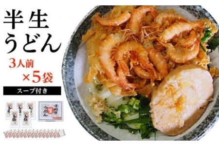 半生うどん 15食入