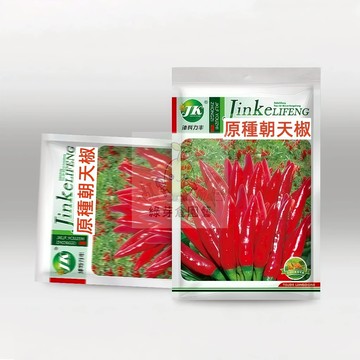 🌱【原裝辣椒種子🌶️】原種朝天椒 親測種活率85% 植株強壯 易種植 產量高 抗病強 盆栽植株蔬菜種子