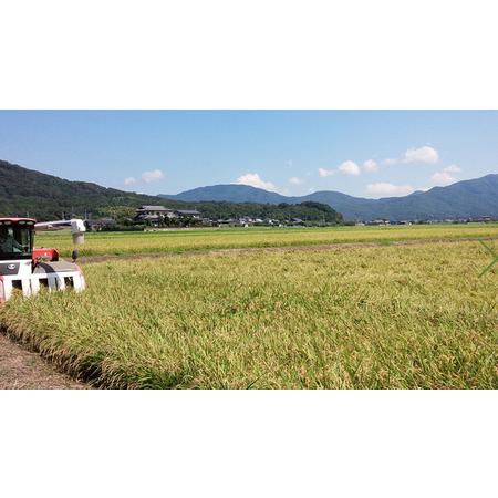 ふるさと納税 《3ヶ月定期便》 《令和5年産》新米 茨城県桜川市産こしひかり 15kg（5kg×3袋）× 3回 茨城県産 桜川 米 .. 茨城県桜川市