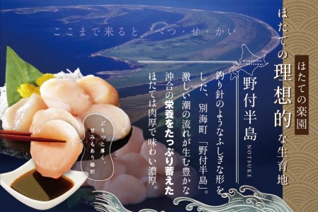 北海道 野付産 漁協直送 冷凍ホタテ 貝柱 特大 ホタテ 1kg（ ほたて 帆立 ホタテ 貝柱 北海道 野付 別海町 人気 ふるさと納税 ）