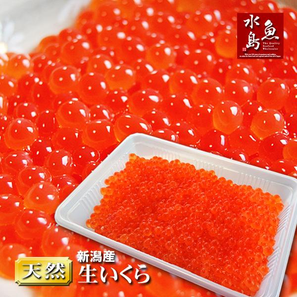 新潟産 生いくら 季節限定「とろりやわらか 生イクラ」 300g