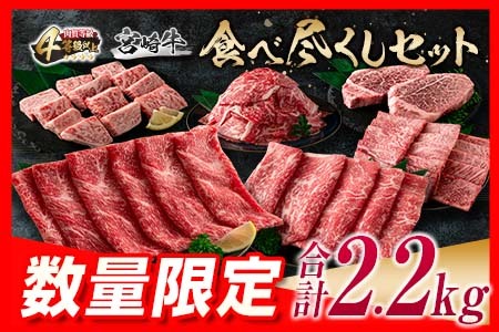 ≪数量限定≫宮崎牛食べ尽くしセット(合計2.2kg)　肉　牛　牛肉　国産 H47-23