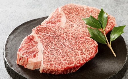 牛肉 肉 ミヤチク ステーキ 国産 宮崎牛 ヒレステーキ(150g×2枚) ロースステーキ(250g×2枚) 肉 牛肉