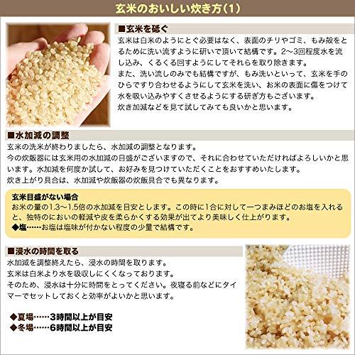 新潟県産 岩船産コシヒカリ 玄米 25kg (5kg×5 袋) 令和5年産 異物除去調整済