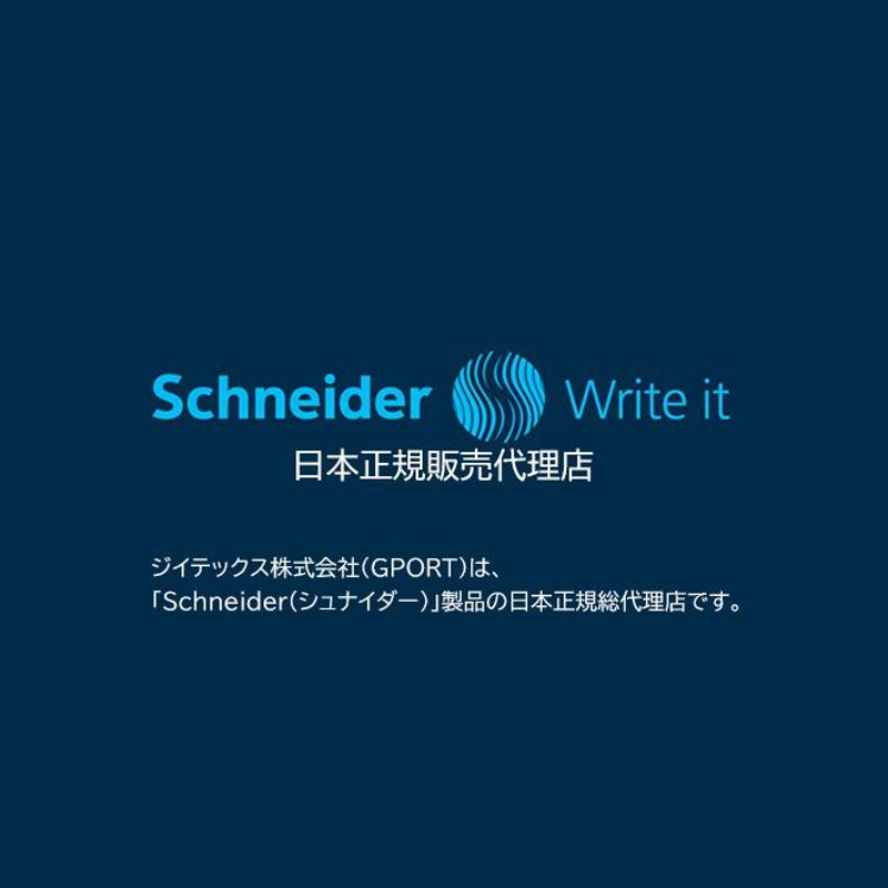 シュナイダー Schneider カリグラフィー ペン 万年筆 セット 2本入