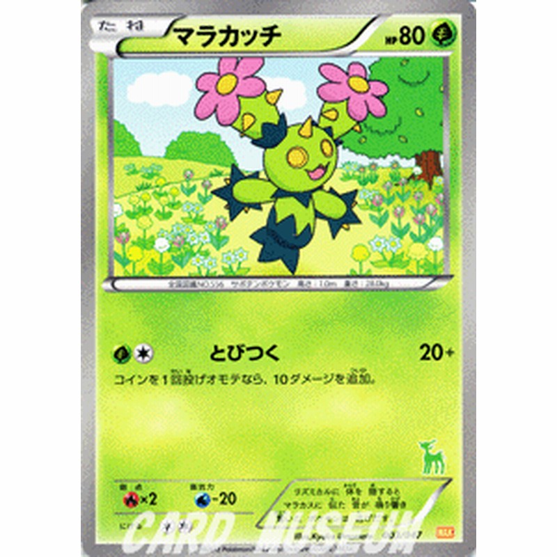 ポケモンカードbw マラカッチ みんなのwakuwakuバトル 収録 通販 Lineポイント最大1 0 Get Lineショッピング