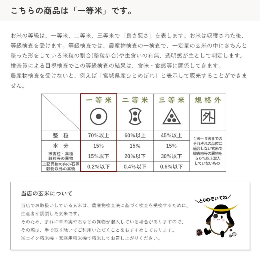 つや姫 一等米玄米 30kg 山形県産 令和5年産