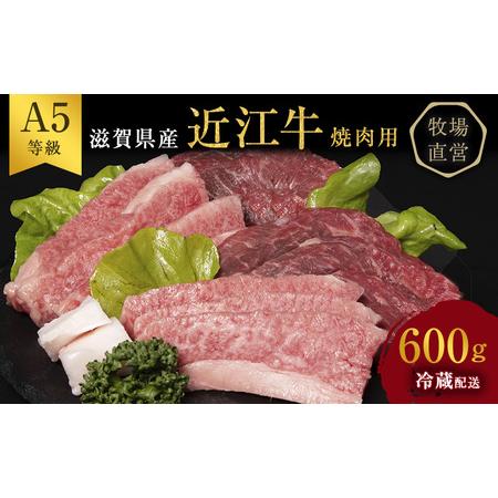 ふるさと納税 近江牛 焼肉 約600g A5 雌牛 モモ・カタ・ウデ・バラ系等 西川畜産 牛肉 黒毛和牛 焼き肉 焼肉用 肉 お肉 牛 和牛 滋賀県豊郷町