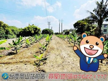路竹#社東#休閒農地｜高雄市路竹區社東段