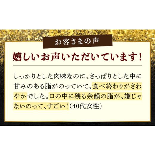 ふるさと納税 長崎県 波佐見町 ロース スライス 400g 長崎和牛 A4〜A5ランク しゃぶしゃぶ すき焼き [VF07]