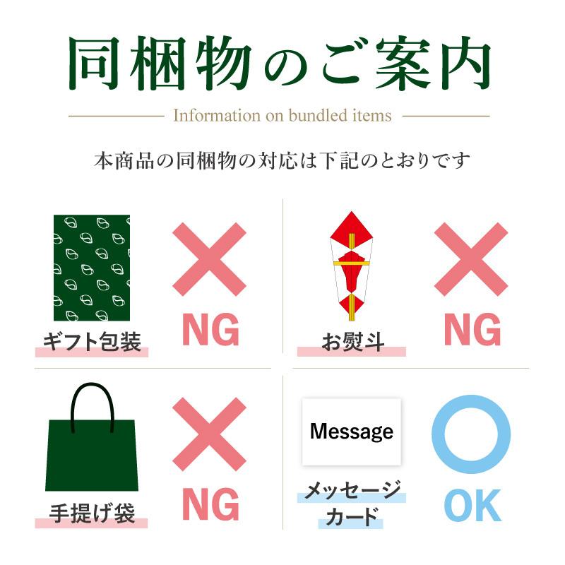 送料無料 日本橋 千疋屋総本店 スパイシーココナッツカレー 10個 ご家庭用ボール箱入