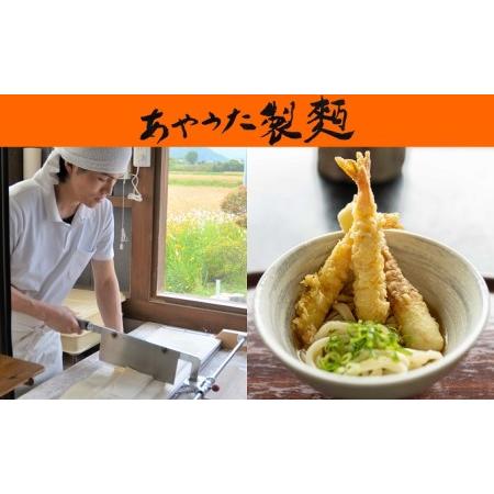 ふるさと納税 うどん あやうた製? ゆでうどん 6人前 だし 付き 冷凍 丸亀 讃岐 讃岐うどん さぬきうどん つゆ 小袋 付き セット 麺類 加工食品 .. 香川県丸亀市