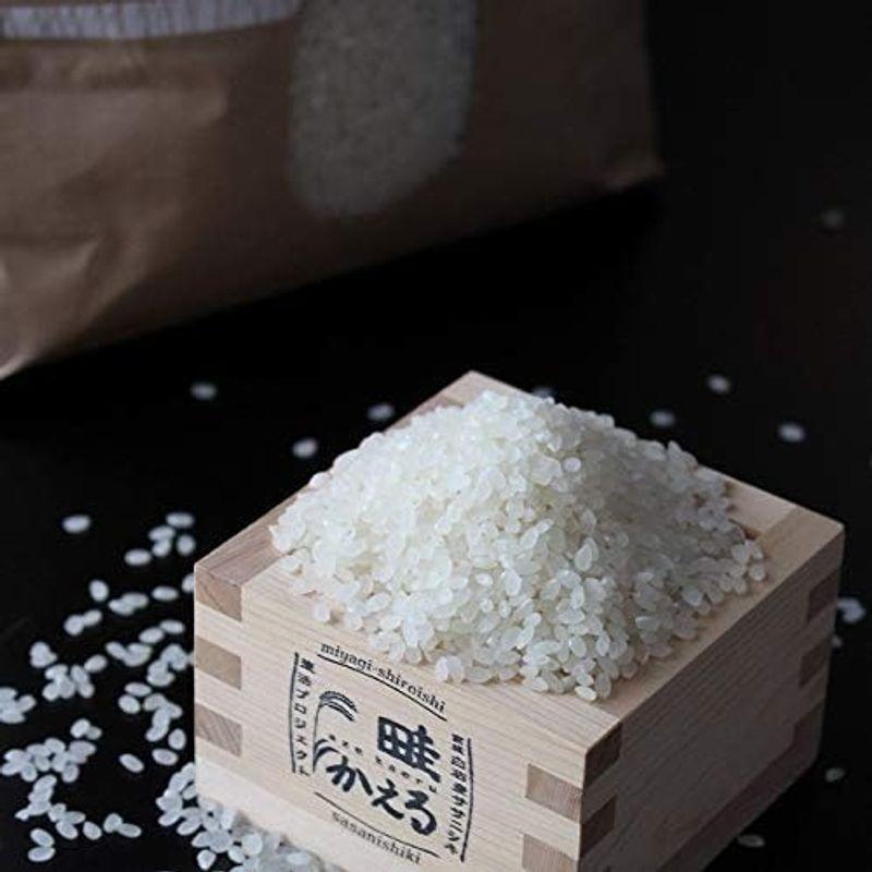 白石産ササニシキ 特別栽培米 天日干し 2kg（精米）