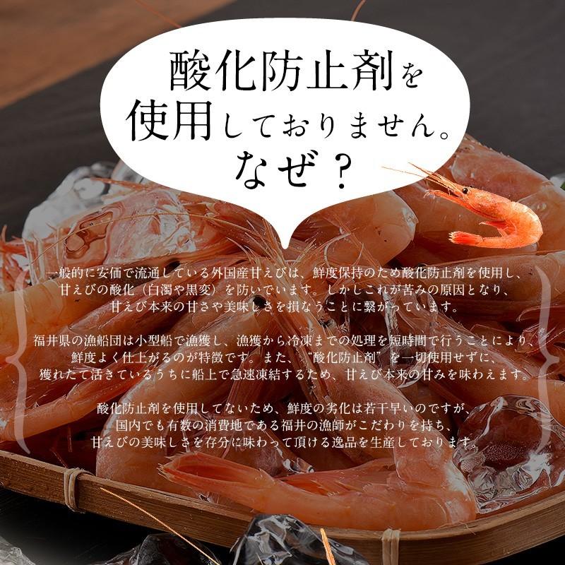 甘エビ 甘えび 子なし 小サイズ 1kg（500g×2箱）約80〜100尾入り 刺身用 越前産 甘えび 海老 えび エビ 贈り物 お祝い プレゼント 冬グルメ 冬ギフト