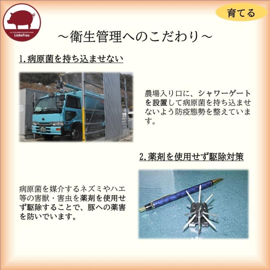 ソーセージ ウインナー 無添加 スモークソーセージ 徳島県産 阿波美豚 150g