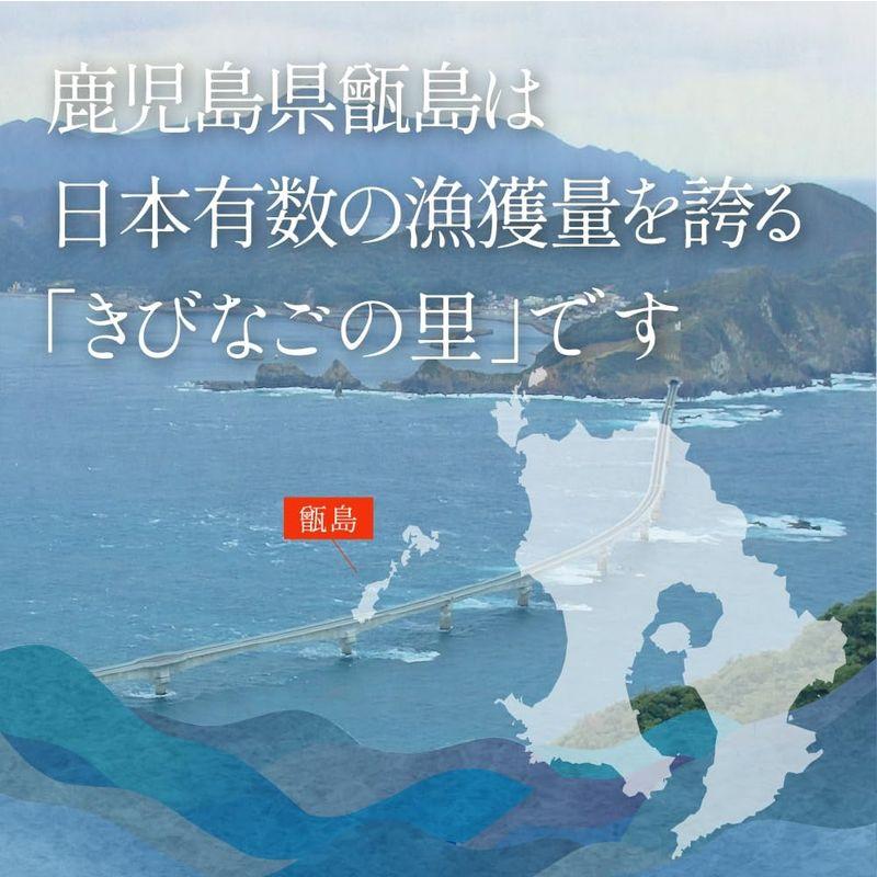 きびなご塩干し 500g 鹿児島県 長島町 甑島産 薩摩川内市 馬場水産加工場 きびなご キビナゴ 塩干 塩干し 鹿児島県産 鹿児島 ご当地