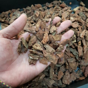 P老闆水族~樹皮屑/木屑/500g/1kg/爬蟲/蜥蜴/陸龜/龜/巨蜥/底材/