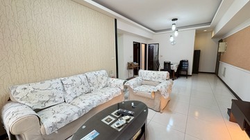 獨家優惠價林口活力城大三房+坡平車位｜新北市林口區中山路