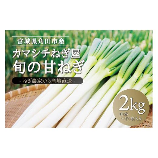 ふるさと納税 宮城県 角田市 カマシチねぎ屋 旬の甘ねぎ 2kg（約10本〜17本）