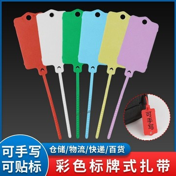 【熱賣產品】整合吊牌、塑膠吊牌標記標籤、束帶、彩色銘牌、可重複使用的分類封條領帶