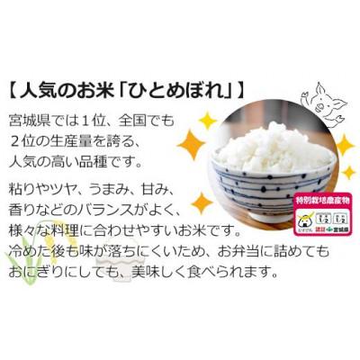 ふるさと納税 登米市 栽培期間中農薬・化学肥料節減米「ひとめぼれ」(精米30kg)